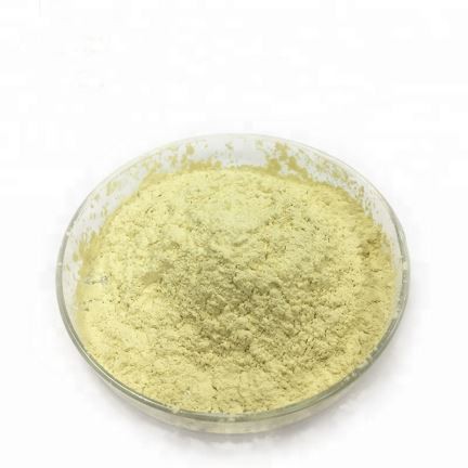 DM পাউদাৰ